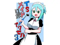 TSメイドロボアクセル3