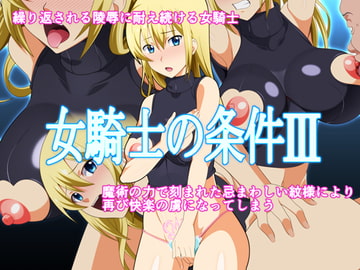 女騎士の条件III [史茶屋]