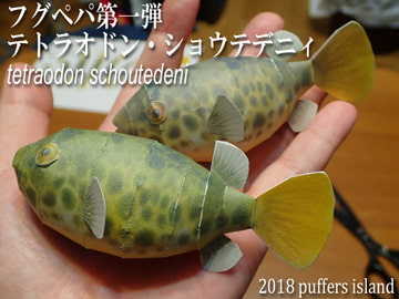 フグペパ:テトラオドン・ショウテデニィ [Puffers island]