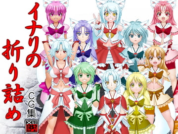 イナリの折り詰め [Tokyoサーキット]