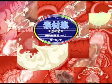 素材集その2 膣内断面図Vol.1 [モンド]