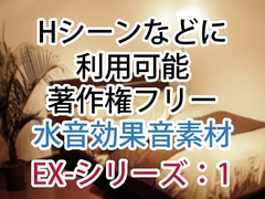 【Hシーンなどに】著作権フリー水音効果音集素材 EX-シリーズ1 [DIRTY WORKS]