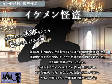 イケメン怪盗 [妄想屋]