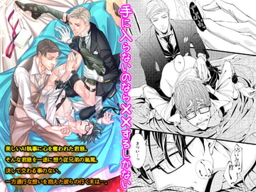 手に入らないのなら××するしかない [OL]