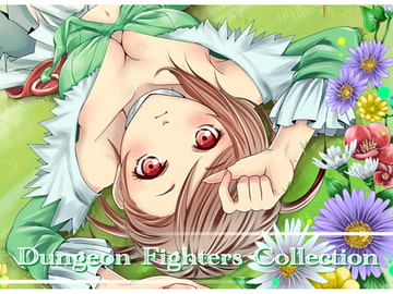 Dungeon Fighters Collection [こりん堂]