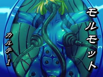 モルモット カルテ1 [べるがもっと]