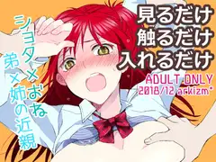 見るだけ触るだけ入れるだけ