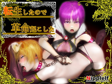 転生したので革命起こした [ニッペルフ]