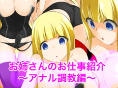 お姉さんのお仕事紹介〜アナル責め編〜 [裏不思議]