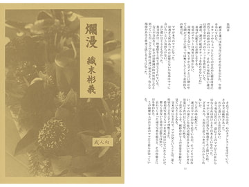 爛漫 [アカプルコの月企画]