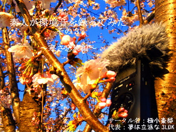 素人が環境音を録ってみた その3 ～寒さ忘れ編～ [極小豪邸]