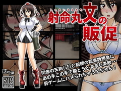 射命丸文の販促 [和がらし屋]