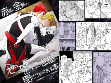 赤毛と金髪がセッ××しないと出られない部屋に閉じ込められる本 [TINGA/故珍子]