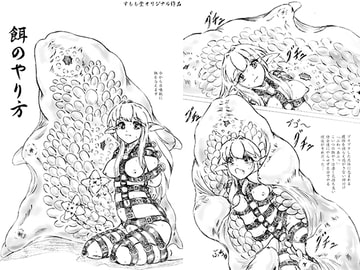 餌のやり方(おまけペーパー付) [すもも堂]