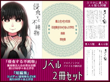 侵食する不純物・短編集 [aiGame]