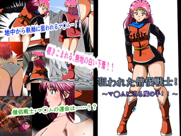 狙われた僧侶戦士! [shadeの裏姫]