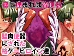 壁肉便器にされた格ゲーヒロイン達 [下太郎]