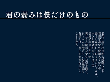 君の弱みは僕だけのもの [灼熱の砲撃]