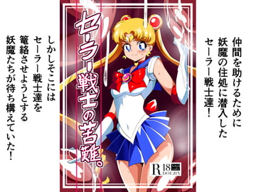 セーラー戦士の苦難 [ワラビモチー]