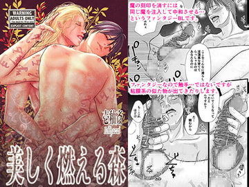 美しく燃える森 [壱釉斎]