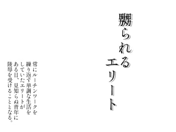 嬲られるエリート [灼熱の砲撃]