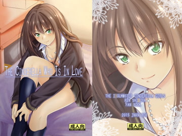 THE CINDERELLA WHO IS IN LOVE [Junk Box]