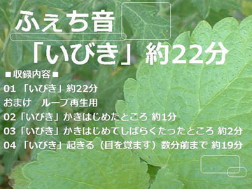 ふぇち音「いびき」約22分 [にくきゅう ぽこ]
