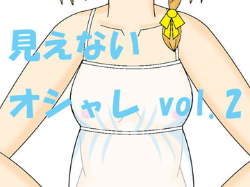 見えないオシャレ vol.2 [藤月庵]