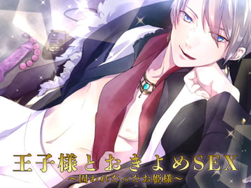 王子様とおきよめSEX～囚われだったお姫様～ [猫のゆりかご]
