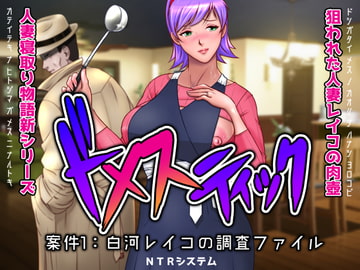 ドメスティック案件1:白河レイコの調査ファイル [NTRシステム]