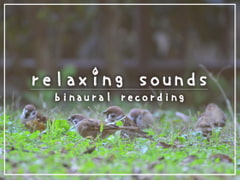 眠れない夜、最後に聴く音 #07 [abyssal forest]