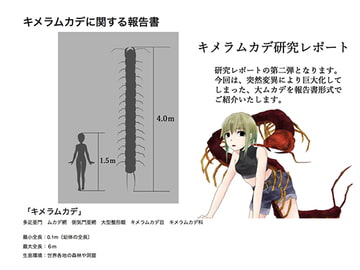 キメラムカデ研究レポート [てるてるがーる]