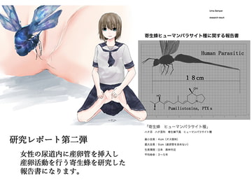 寄生蜂ヒューマンパラサイト種 研究レポート [てるてるがーる]