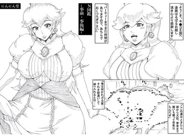 N図鑑~事前・事後編~ [にんにん堂]