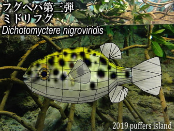 フグペパ:ミドリフグ [Puffers island]