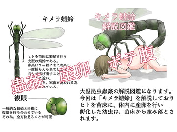 キメラ蜻蛉 解説図鑑 [てるてるがーる]