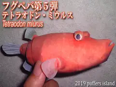 フグペパ:ミウルス・レッド