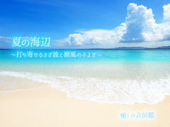 【ASMR環境音】夏の海辺 〜打ち寄せるさざ波と潮風のそよぎ〜 [癒しの音図鑑]