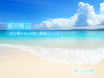 【ASMR環境音】夏の海辺 〜打ち寄せるさざ波と潮風のそよぎ〜 [癒しの音図鑑]
