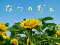 夏の環境音素材集『なつのおと』 [しんさんわーくす]