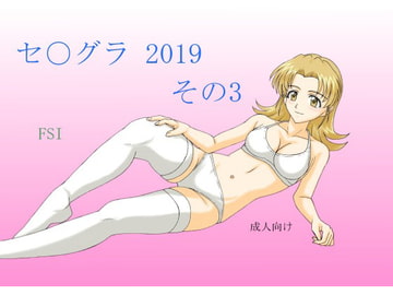 セ〇グラ 2019 その3 [FSI]