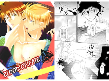 BLOOD OF FATE [しなけれ]