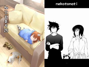 ねことまち25 [Long Navigation]