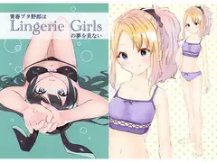 青春ブタ野郎はLingerie Girlsの夢を見ない