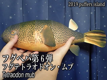 フグペパ:テトラオドン・ムブ [Puffers island]