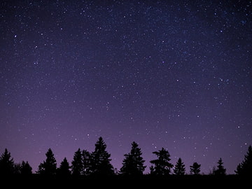 【声なし】6種類の耳マッサージ / SR3D [umino ASMR]