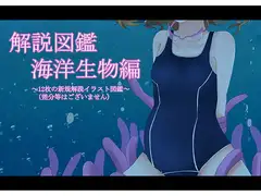 海洋生物姦 解説図鑑