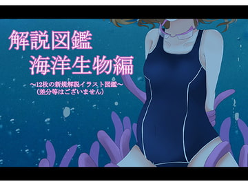 海洋生物姦 解説図鑑 [てるてるがーる]