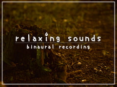 眠れない夜、最後に聴く音 #08 [abyssal forest]