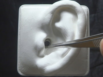 【声なし】5種類の耳かき(爪楊枝、ピンセット、エラストマーetc) / SR3D [umino ASMR]